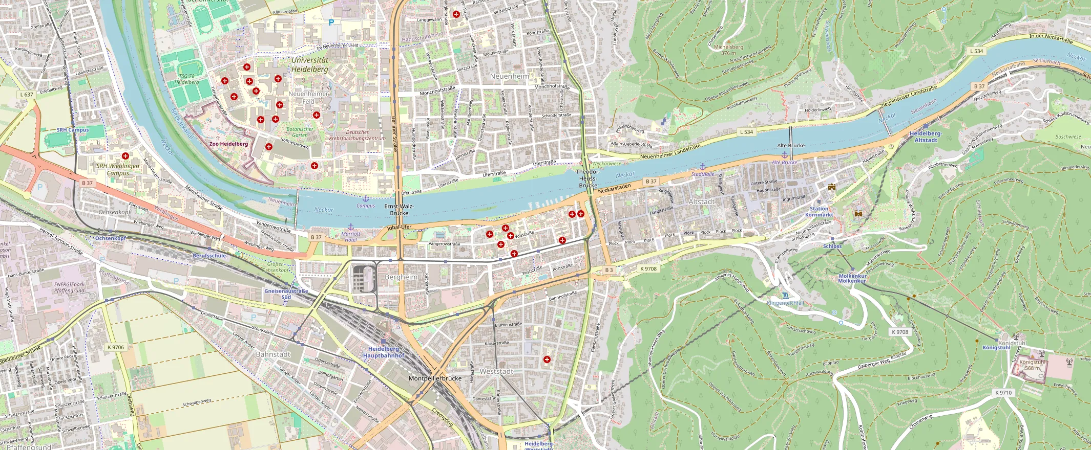 Karte von Heidelberg mit unseren vier Häusern
